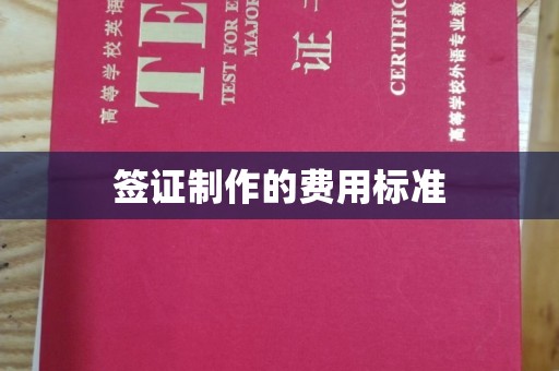 攸县签证制作的费用标准