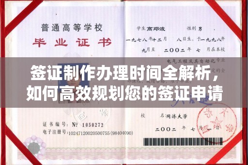 大武口签证制作办理时间全解析，如何高效规划您的签证申请流程