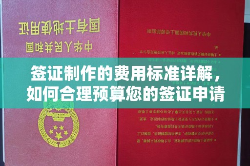 阳明签证制作的费用标准详解，如何合理预算您的签证申请成本